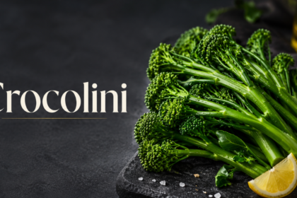 Crocolini