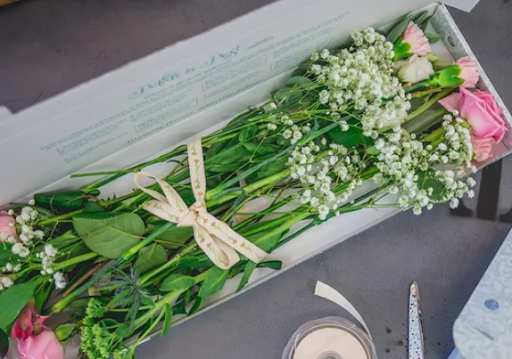 The Ultimate Guide To Letterbox Flowers