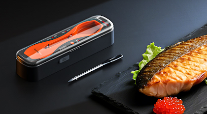 Moms Need a Wireless Meat Thermometer